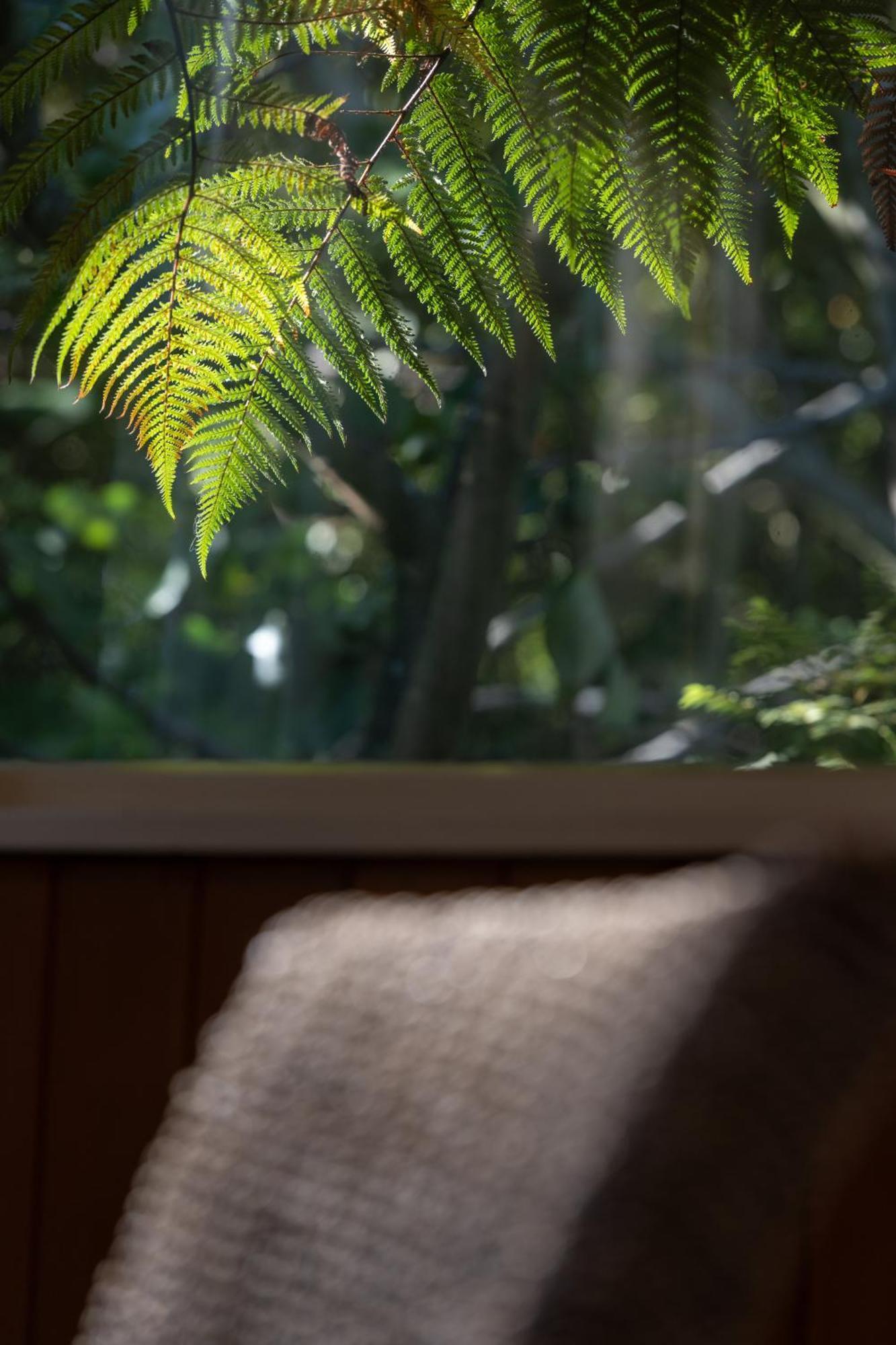 Hidden Hideaway Villa Kaikoura Eksteriør billede